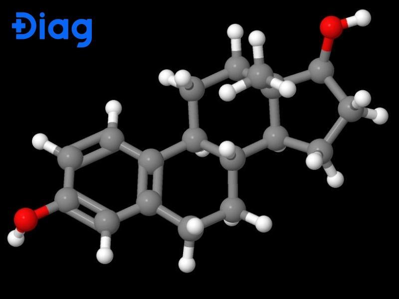 Hinh minh hoa chi so triglycerides la gi va vai tro luu tru nang luong trong co the